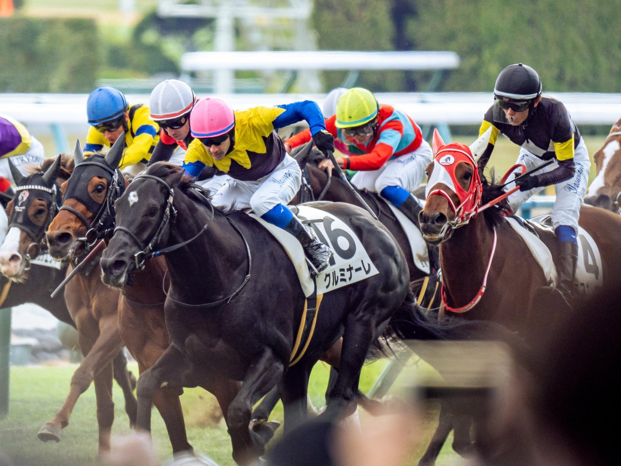 15日京都8レースで岩田康誠騎手のジョッキーパンツを着用するルメール騎手(中央・桃帽)、岩田望来騎手(中央・黄帽)、坂井瑠星騎手(右・黒帽) / 写真提供：ななしさん