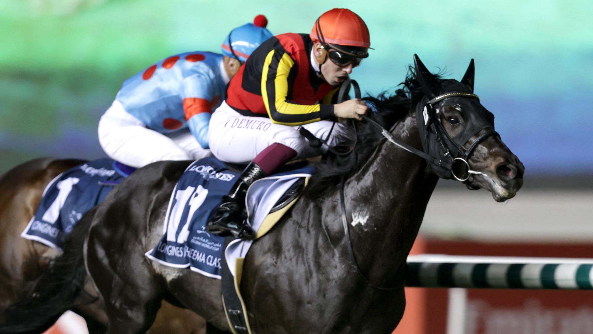 ◇ 競馬 JRA ◇ シャフリヤール ◇ 日本ダービー ◇数量限定