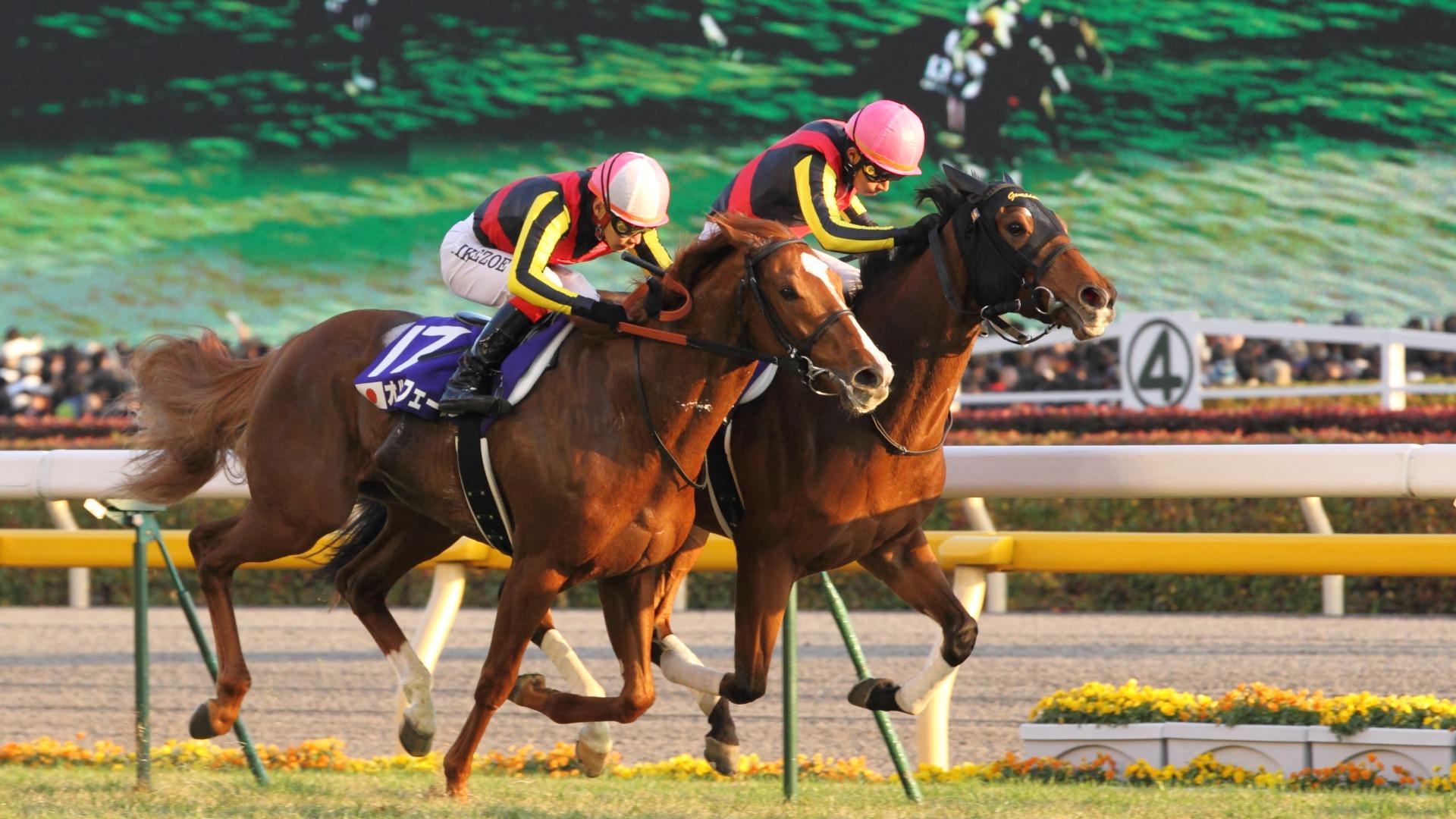 期限切れ単勝馬券】第32回ジャパンカップ　ジェンティルドンナ2012/11/25 JRAホームページ｜データファイル｜競走成績データ