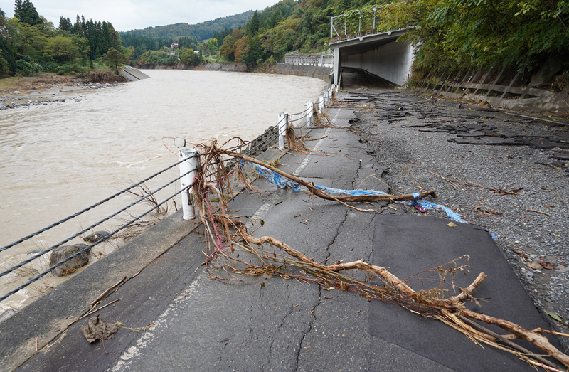 信濃川がきつくカーブする部分の堤防沿いは氾濫の勢いが激しく、流木などがワイヤーの一部を引きちぎったらしい（10月20日、筆者撮影）