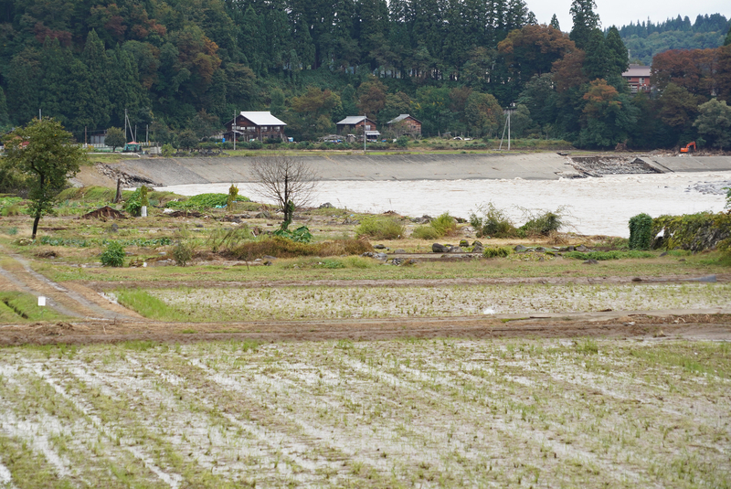 JR津南駅周辺でも信濃川が氾濫したが、水田が多いためか住家の被害は少なかった（10月20日、筆者撮影）
