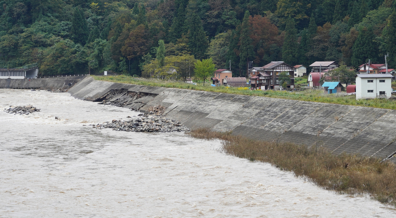 信濃川に面する津南町の足滝地区。今回の氾濫で堤防の下が一部崩れているのが分かる（10月20日、筆者撮影）