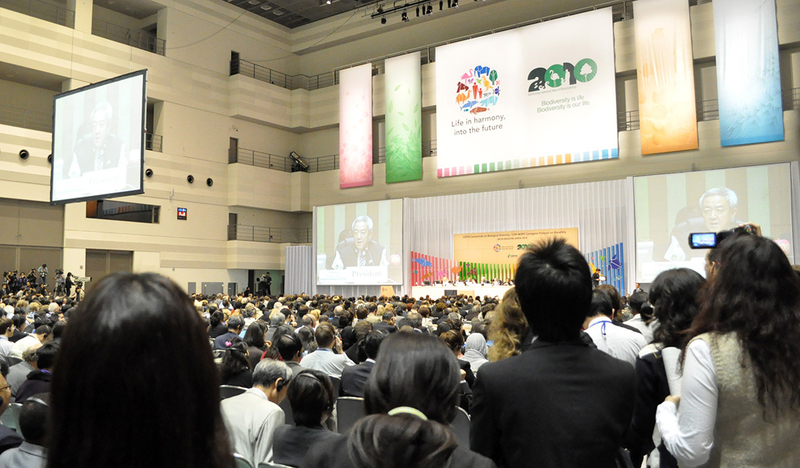 2010年10月に名古屋市で開かれたCOP10で、未明まで続いた大詰めの最終会合を見守る参加者（筆者撮影）