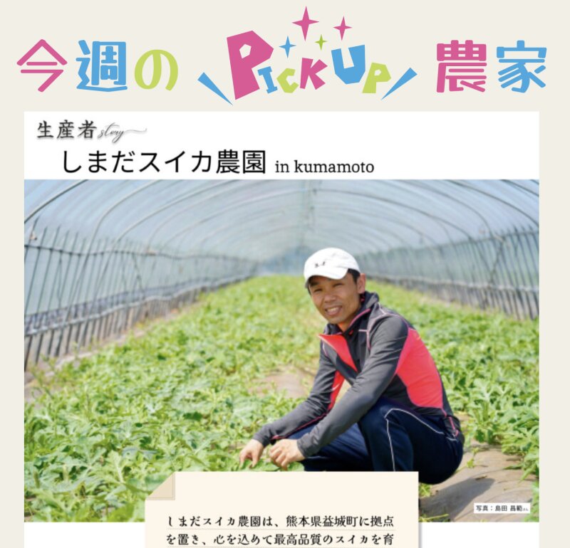 「フルポタ」で取り上げられている熊本県益城町のスイカ農家