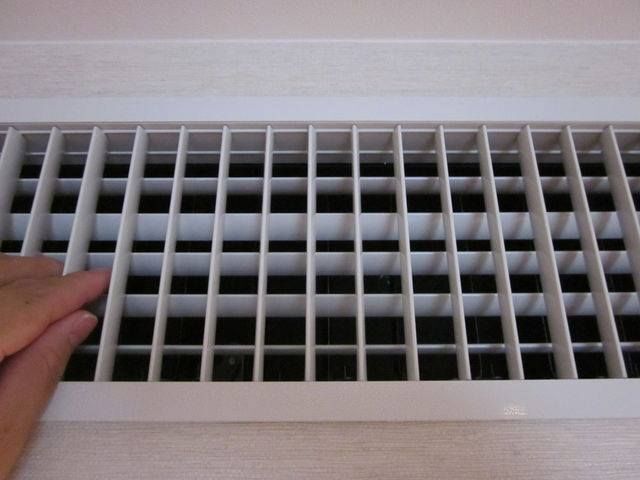羽の向きを変えてはみるものの(筆者撮影)