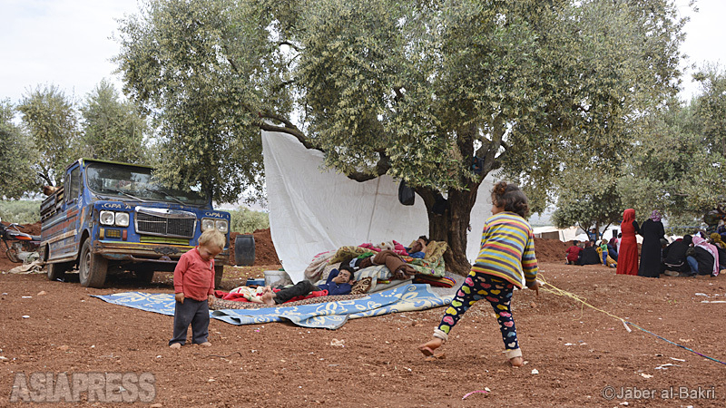 トルコ国境近くの農村部では、空爆や戦闘から逃れてきた家族らが、木の下に身を寄せていた。（2019年５月・撮影：ジャベール・アル・バクリ）