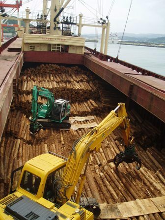 2003年に行われた日向港からの木材輸出