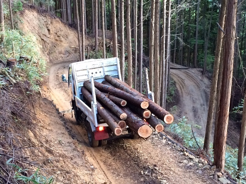 作業道を原木を積んで走るには、相当の走破力が必要。