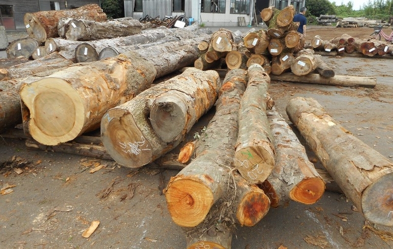 木材市場の片隅に摘まれた広葉樹材（筆者撮影）