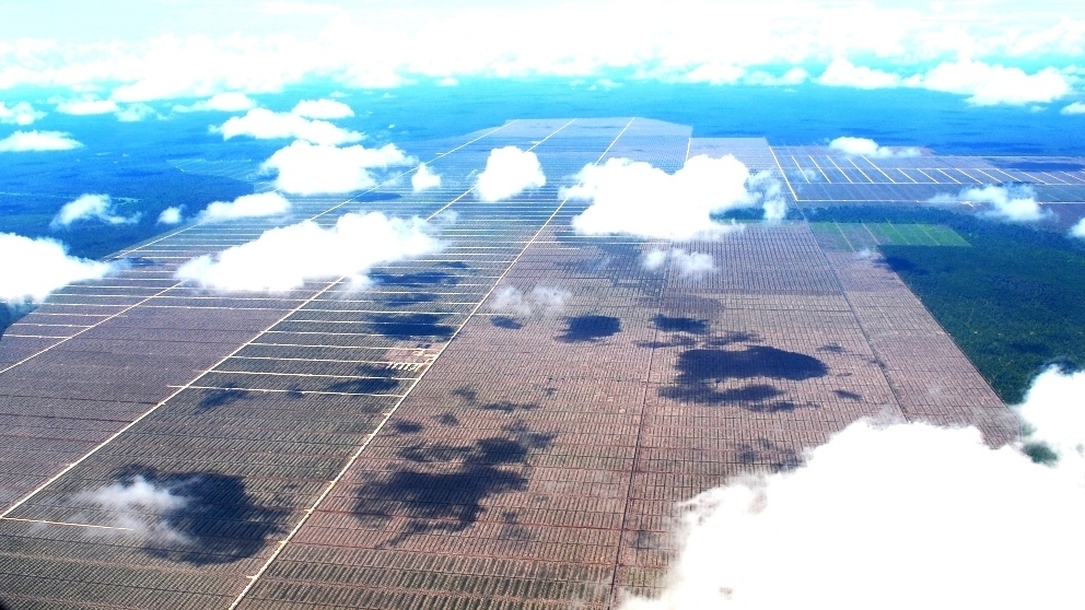 グリーン ライ 環境問題の嘘 をつくのは誰だ 田中淳夫 個人 Yahoo ニュース