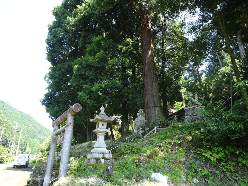 烏川神社の参道に立つご神木