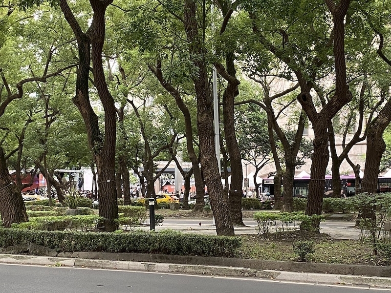 敦南店前の緑豊かなクスノキ並木も、この日の人出の多さには驚いたに違いない（撮影筆者）