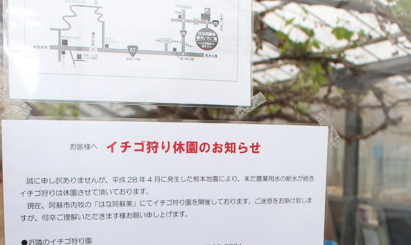 ビニールハウスには「イチゴ狩り休園のお知らせ」と書かれた紙が掲げられていた＝2018年4月、熊本県南阿蘇村立野（山田桂士撮影）