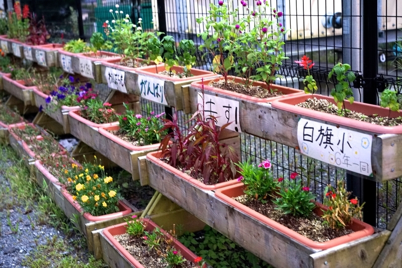 白旗仮設団地の入り口には、地元の小学生が書いた応援メッセージがあった（筆者撮影）