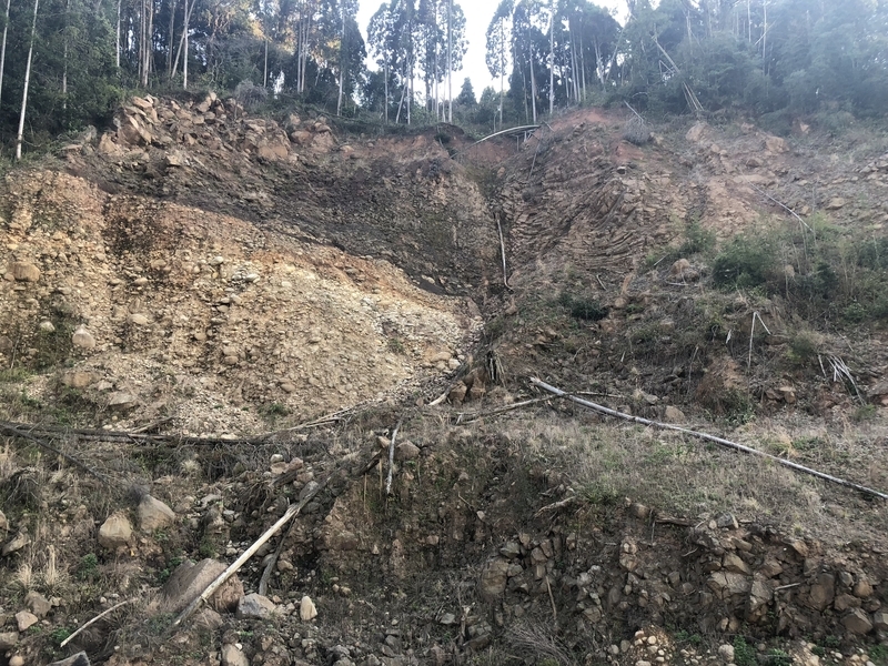 寺院の裏手では大規模な土砂崩れが発生していた＝2019年4月、熊本県益城町（田中森士撮影）