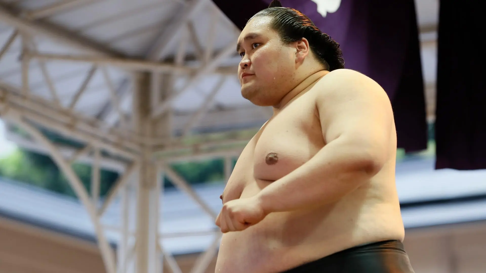 アマダ　相撲　大関　千代の富士　写真　最終値引 アマダ相撲大関千代の富士写真最終値引