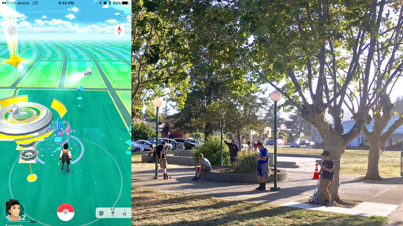 Pokemon Go が 米国の夕方の公園の風景を一変させていた 松村太郎 個人 Yahoo ニュース