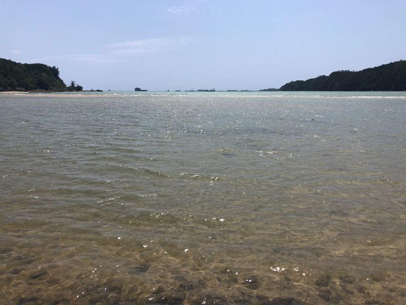 埋め立てが進む辺野古