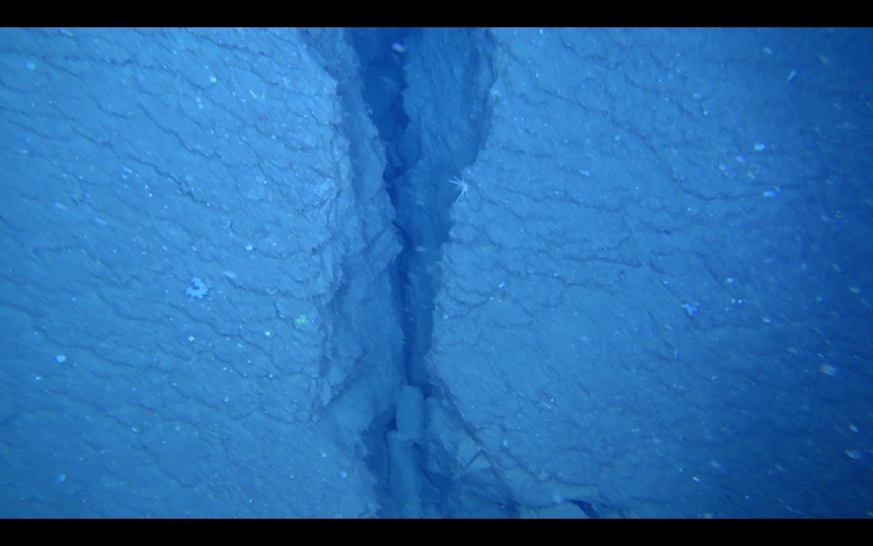 海底溶岩ドーム表面に見られる水冷構造