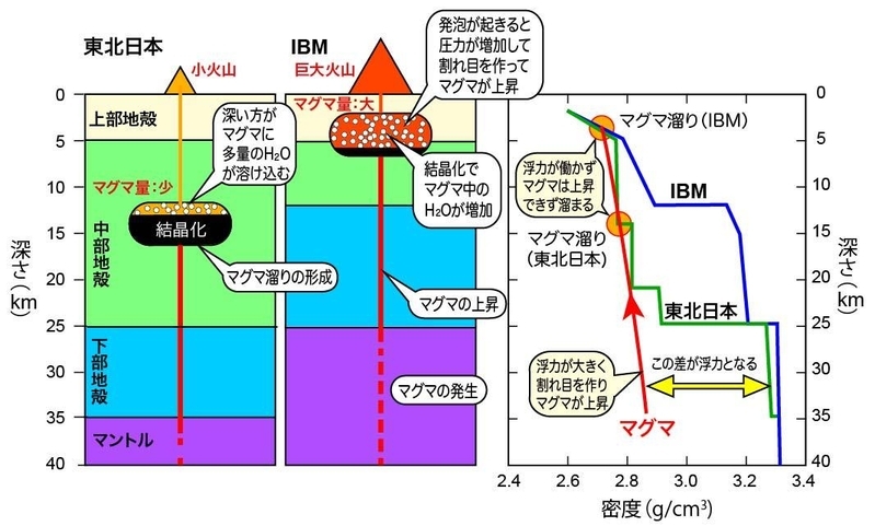 図２　東北日本とIBMにおける、マグマ溜りの形成と噴火のメカニズム。（著者原図）