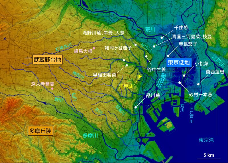 図1　東京周辺の地形と江戸野菜の産地（国土地理院デジタル地図を基に著者作成）。