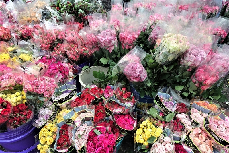 コロンビアはカーネーションやバラの世界最大生産地。観光客も見学できる花市場では1本20円程度で売られていた／筆者撮影