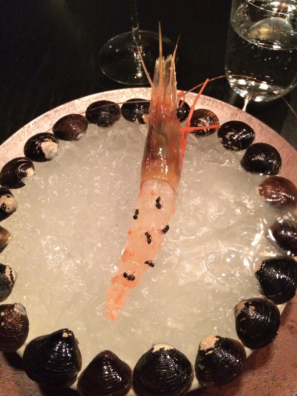 ポップアップ「ノーマ東京」で騒然となったアリを使った料理。アリの持つ酸味が柑橘類の芳香を感じさせるという／筆者撮影