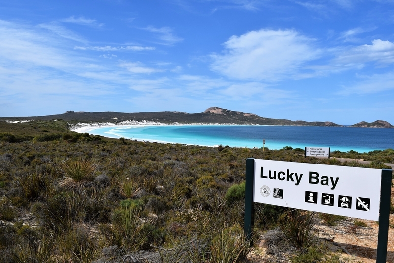 鮮やかなブルーの海とピュアホワイトのビーチは「オーストラリアで最も美しい」と賞されるラッキーベイ／筆者撮影