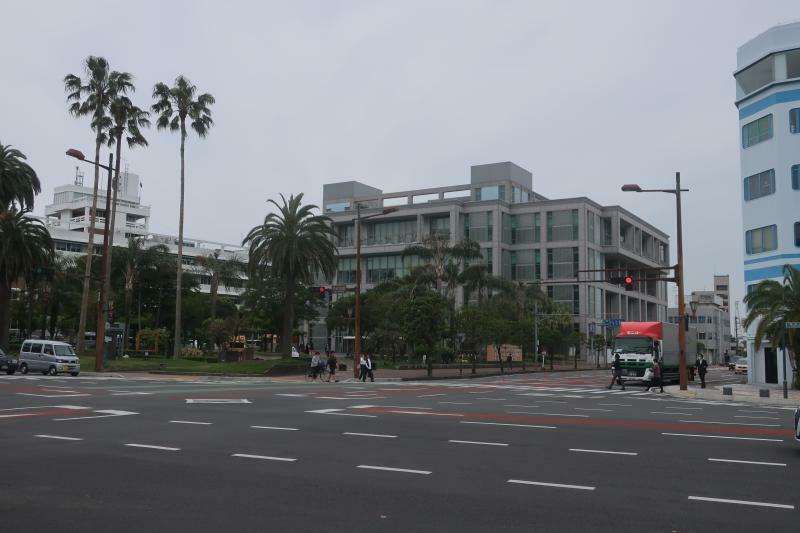 左の白い建物が宮崎市役所。ヤシの木が南国らしさを醸し出している。ちなみに、建物内部には宮崎でキャンプしていたからか優勝した侍ジャパンの選手たちのサインが飾ってあった。