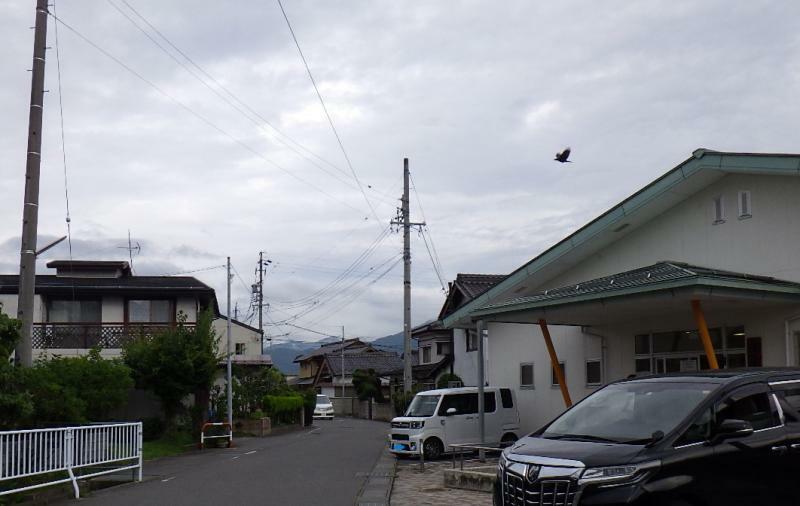 右の建物が青木島公園隣接の児童センターである～前面道路付近から撮影