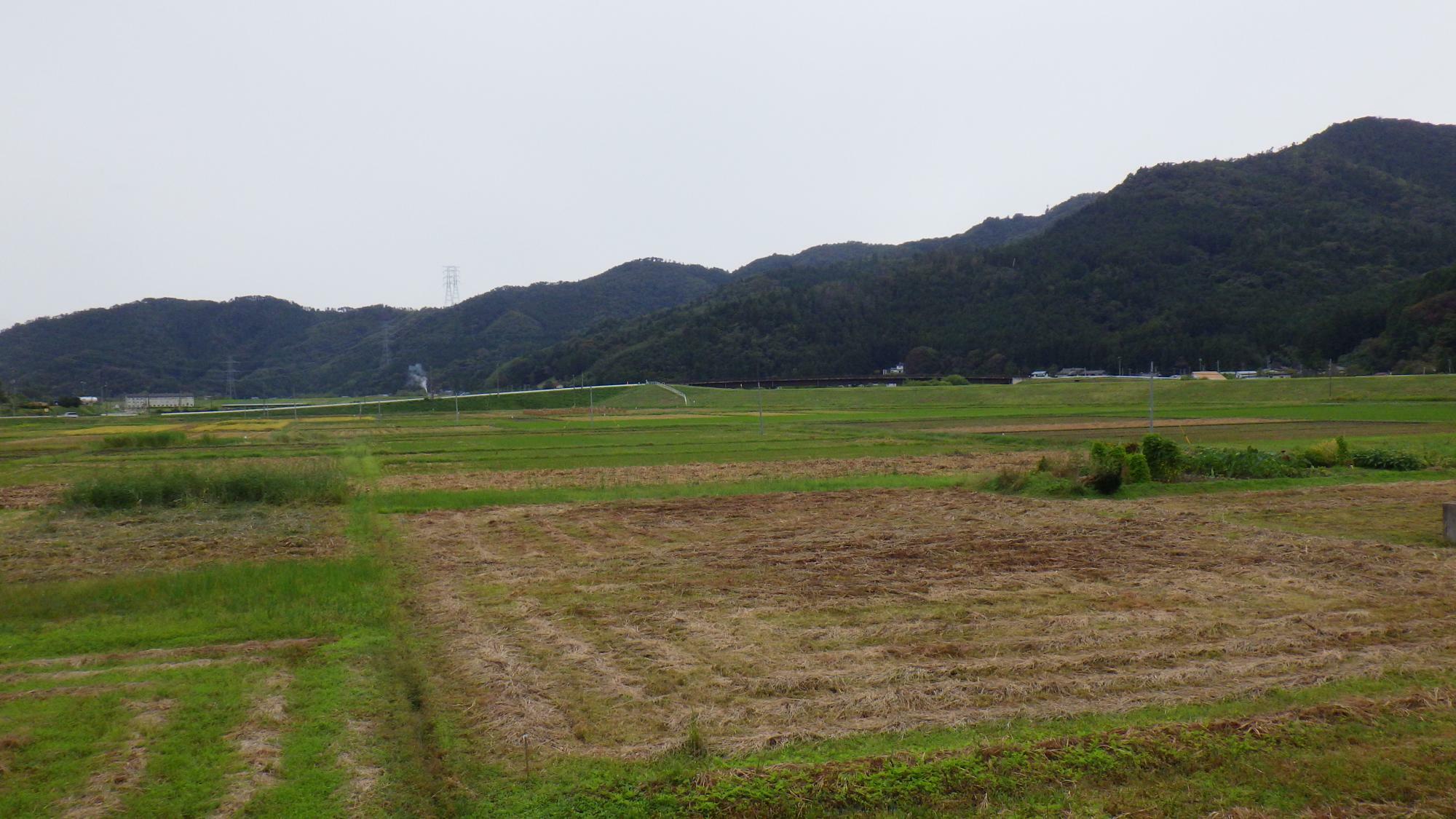 白い農地の近くの風景。白い農地といっても、それは東山町の農地のごく一部に過ぎない旨がわかる。