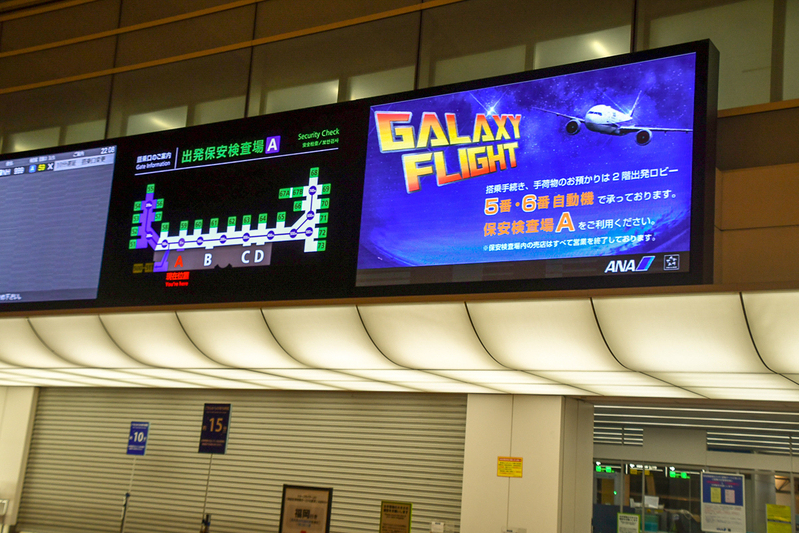 今年で5年目を迎えたANAの羽田～那覇線の深夜便「ギャラクシーフライト」