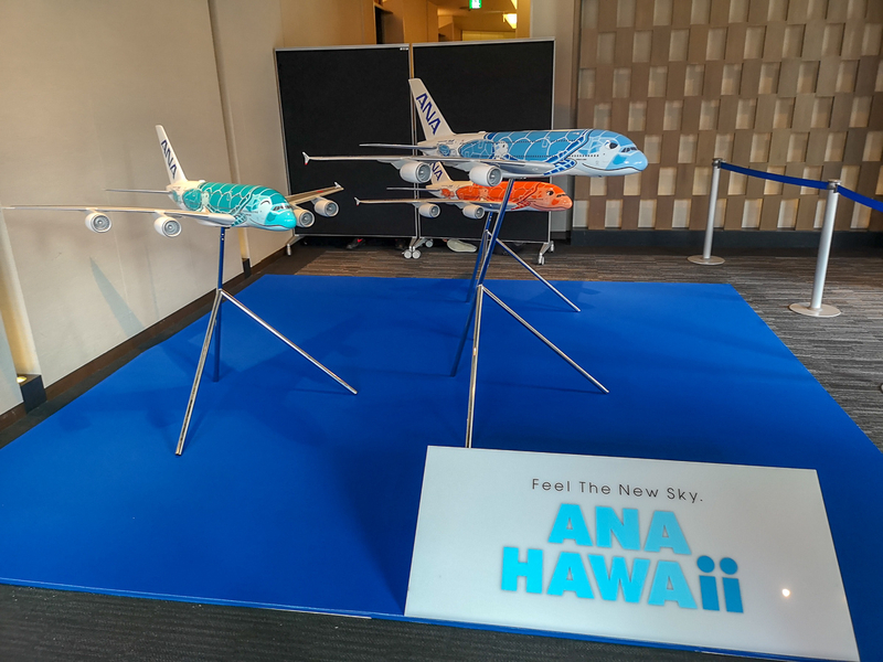 最終的に3機体制となるANAのエアバスA380型機。空飛ぶウミガメをイメージした「FLYING HONU」と呼ばれる特別塗装機で運航する（特記以外は筆者撮影）