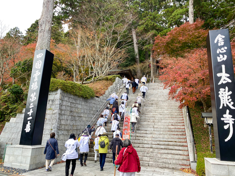 徳島県のお遍路巡りもこの週末、関西方面からも多く人が訪れていた（第21番の太龍寺にて11月28日筆者撮影）