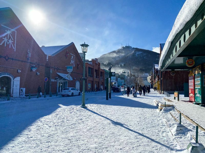 函館はこの時期にしては大量の積雪となっている（12月26日撮影）