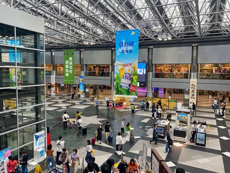 ANA国内線3日間限定片道7000円セールが大ヒット中、一人で10便 ANA国内線3日間限定片道7000円セールが大ヒット中、一人で10便