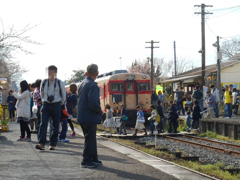 週末にはたくさんの観光客で賑わういすみ鉄道。国鉄形とはいえ鉄道ファンばかりではなく女性や家族連れがたくさん訪れるというのもいすみ鉄道の特徴です。（筆者撮影）