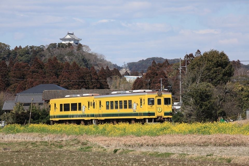 大多喜城をバックに走るムーミン列車。（3月8日）