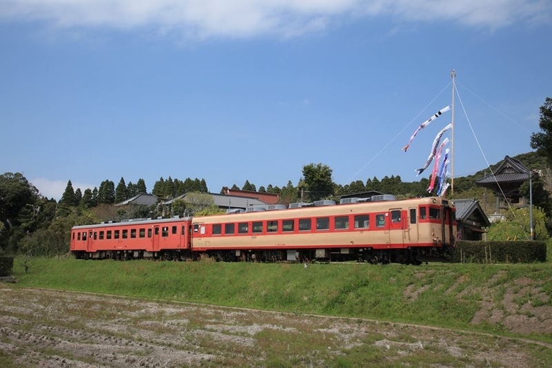文化財としての保存車両が走るいすみ鉄道。キハ52形(左)とキハ28形(右) 撮影:渡辺新悟氏