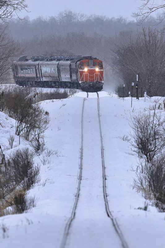 ディーゼル機関車に引かれて雪原を走る「SL冬の釧路湿原号」　　　撮影：半野久光氏　