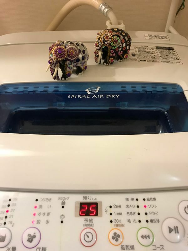 洗濯物を干すのと畳むのが竹井さんの癒しの時間です。「7年来の相棒、小さめ洗濯機くん（withスリランカから来たゾウ）の写真です。最近は調子の悪い日が多く、なだめすかしながら働いてもらってます」（本人提供）