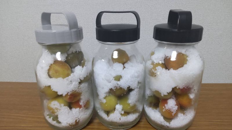 毎年恒例の「梅仕事」。ガツンと甘い梅シロップはスポーツドリンクにするとおいしいそうです。「私は好きなものをがっつり食べるのが好きなので、必要に迫られて作ります」(本人提供)