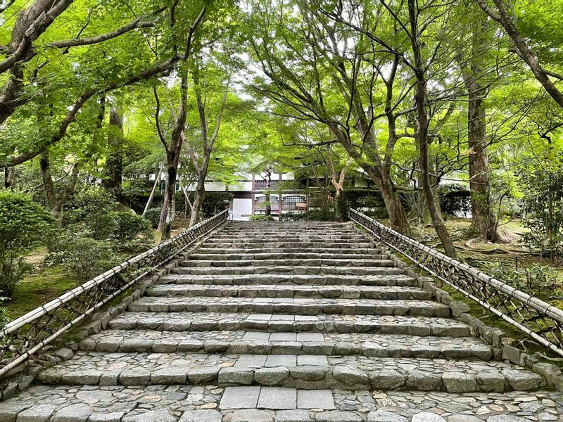 佐々木さんが毎年必ず訪れるという龍安寺にて。「有名な石庭も好きですが、石庭に入る入口の前の石垣の階段と新緑のもみじと建屋がお気に入りです」。京都好きが多いのも愛知県民の特徴かもしれません。（本人提供）