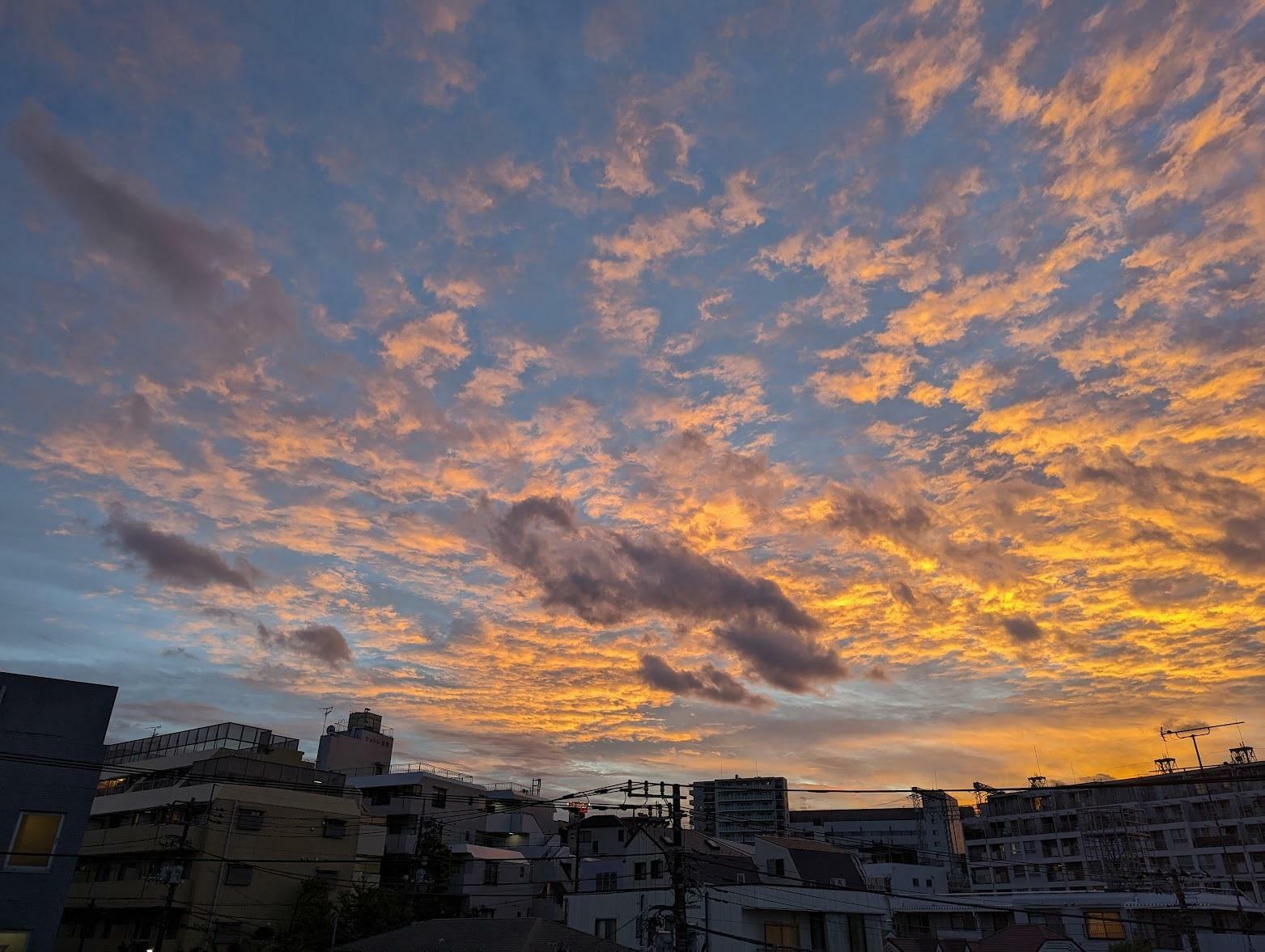 写真が好きだという宮西さん。自宅の屋上から撮影した夕焼けです。「動画撮影が今のように手軽でなかった時代は、美しい時間を切り取る唯一のものが写真でした」（本人提供）