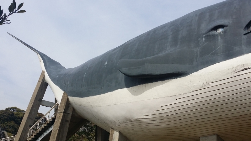 かつては博物館だったが、残念ながら今は立ち入り禁止のクジラ館