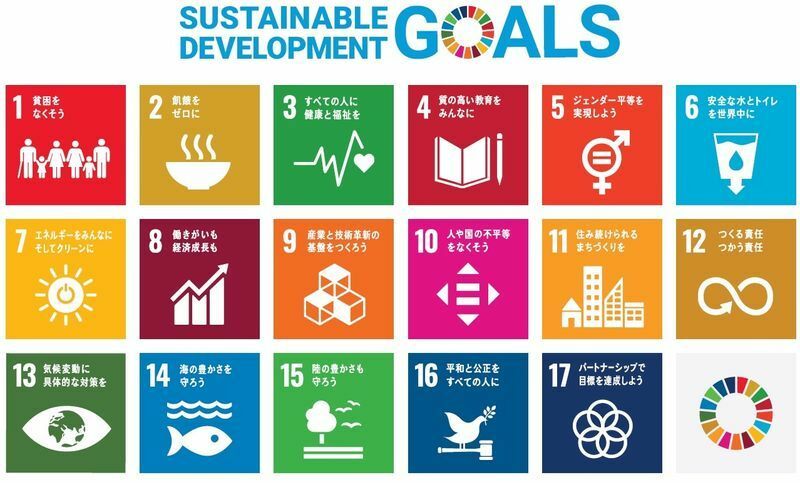 図1　SDGsの17項目からなる持続可能な開発目標　国連で決めたもの