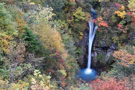 　　那須平成の森　駒止の滝（写真・イメージマート）