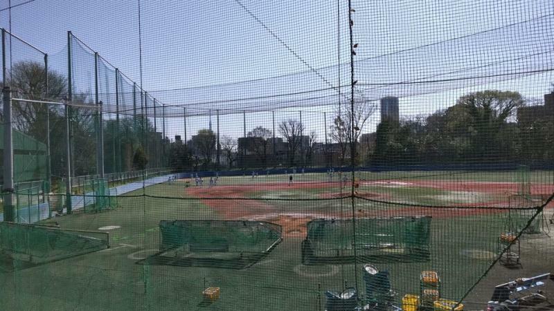 東大農学部のキャンパス（弥生キャンパス）内にある東大野球部のグラウンド。全面人工芝である（筆者撮影）
