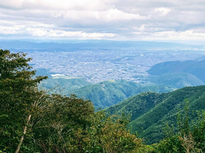 山頂の林の切れ間から京都市内を見渡す。ここから光秀は本能寺に狙いを定めたに違いない