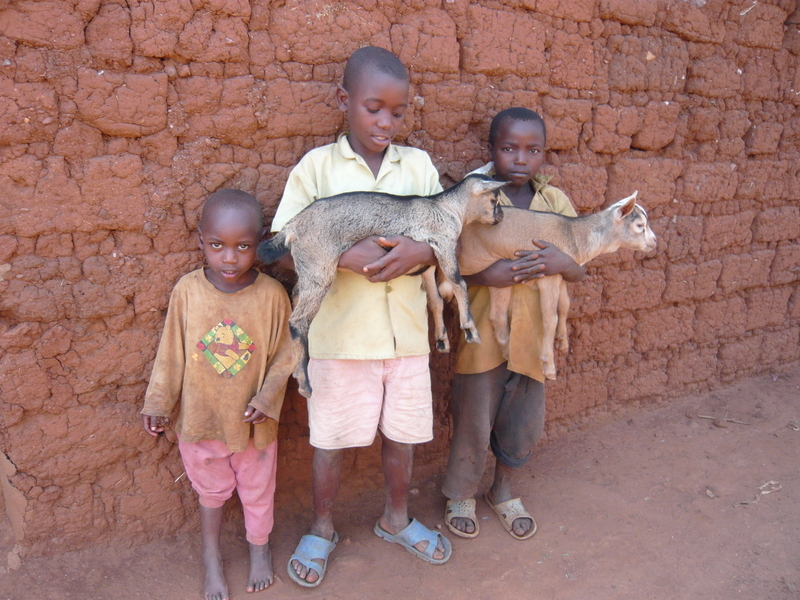 ▲2010年3月ルワンダ／ヤギを抱っこする子どもたち